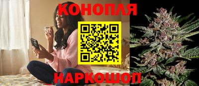 spice Пушкино