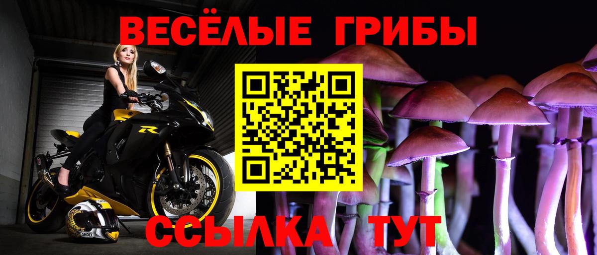 Галлюциногенные грибы ЛСД  Галлюциногенные грибы Psilocybine cubensis  Вход с VPN  Рославль 